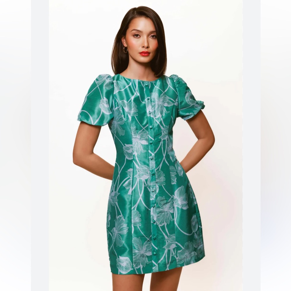 Hutch Cove Button Up Dress- Brand New with tags